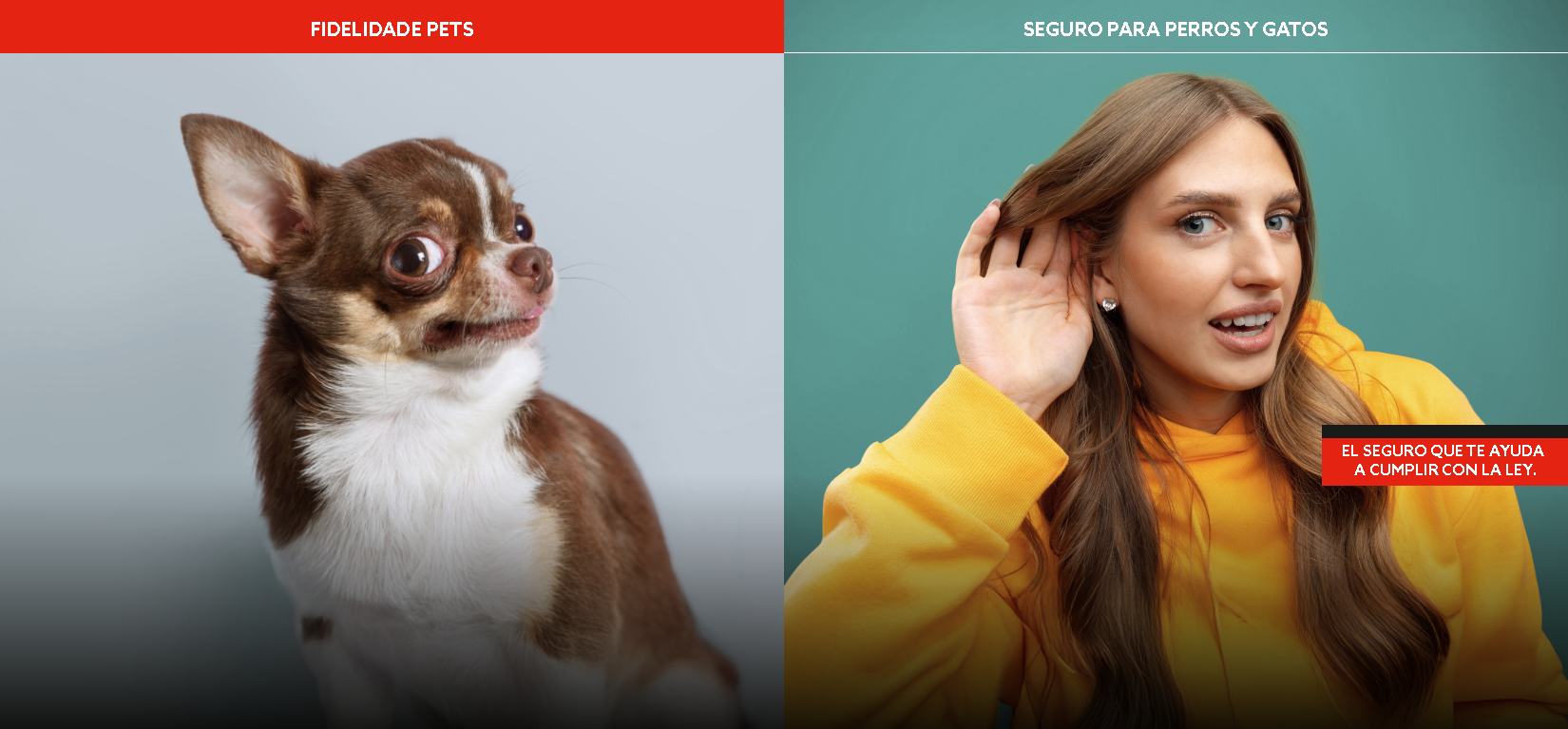 ¿LIBRES PARA ELEGIR NUESTRO VETERINARIO? SÍ, SEGURO FIDELIDADE PETS. LA LIBERTAD QUE NOS UNE. 